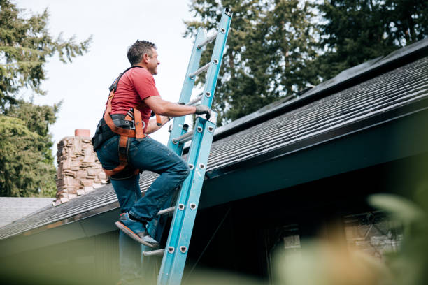 Best Roof Moss and Algae Removal  in Howland Center, OH